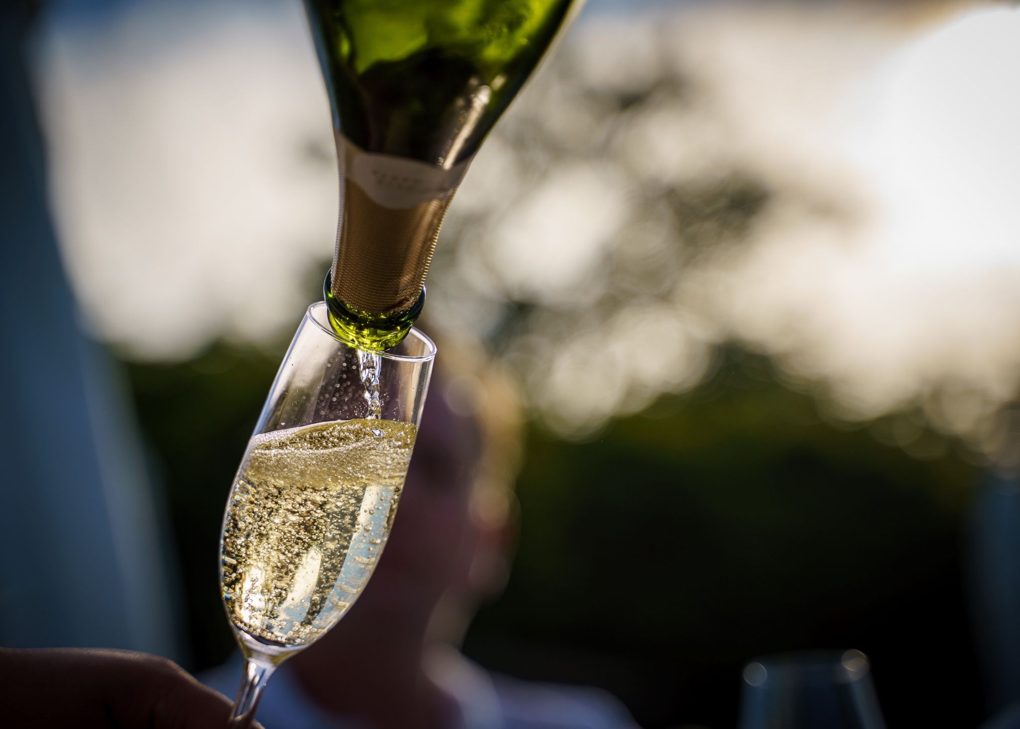 Nieuwjaarsborrel 2026 Buitenplaats Slangevegt Breukelen